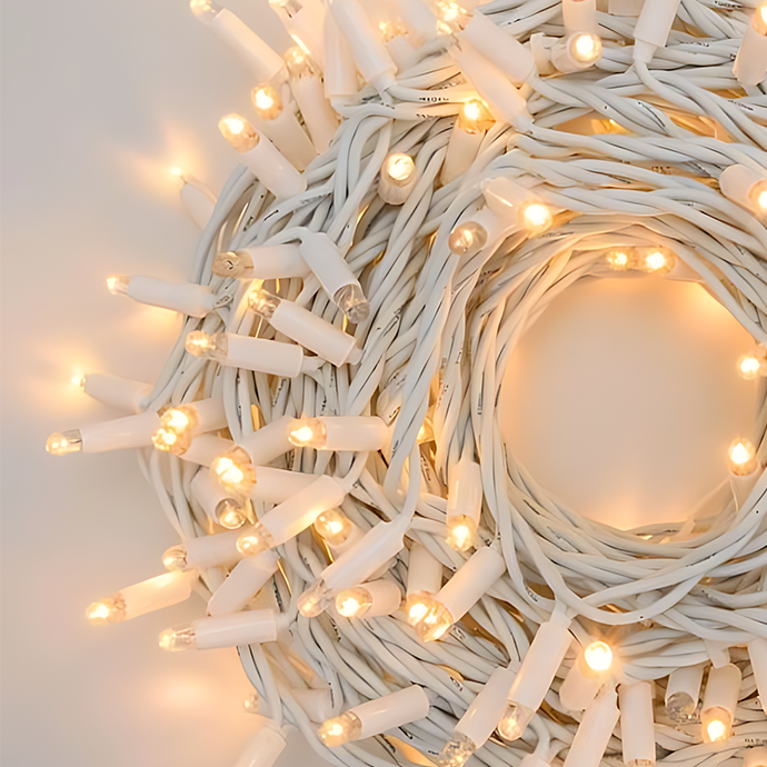 Āra un iekštelpu virtene (LED apgaismojums) 10 m PROLED balta