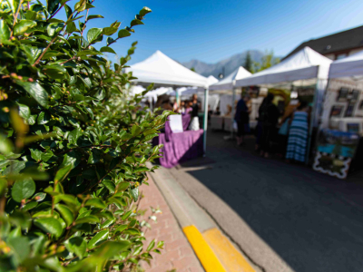 Tirdzniecības telts: kad ir vērts iegādāties vairākas dažāda izmēra telts, nevis vienu lielu